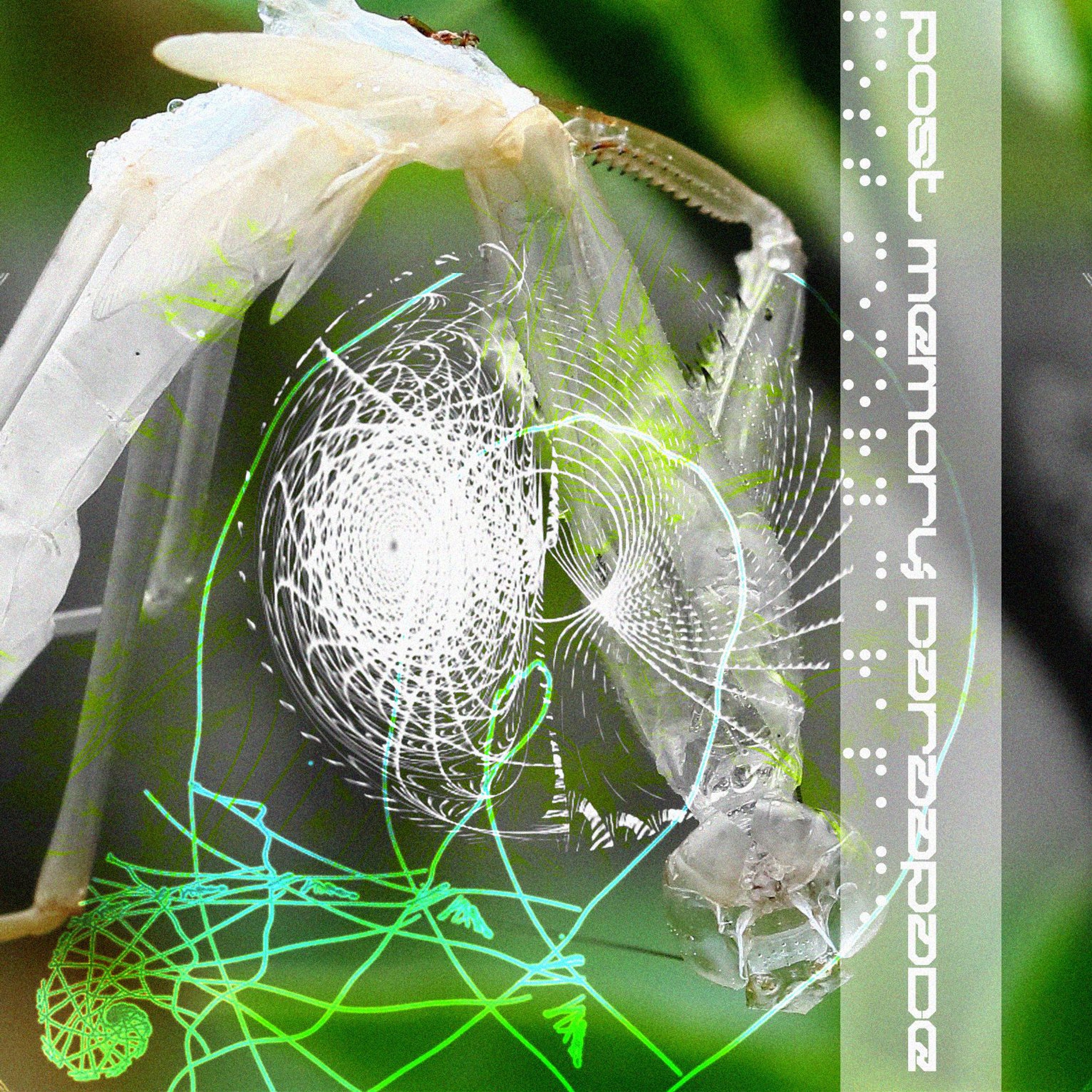 Post Memory Carapace episode artwork