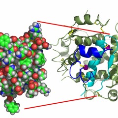 Insulin - Algorithm III