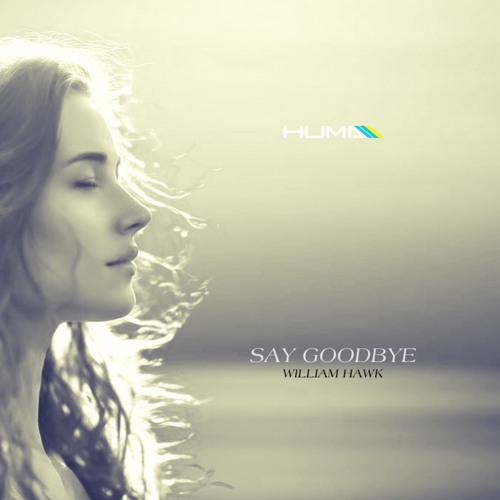 William Hawk - Say Goodbye (Huma Remix)