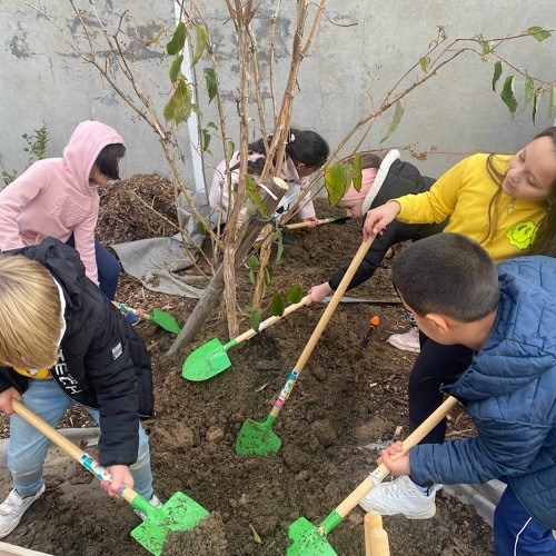 A Lyon, les enfants s'approprient les cours d'écoles végétalisées