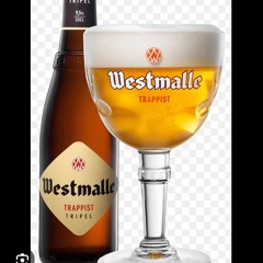 WESTMALLE!!!!🍻🍺