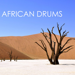 Shamanic Drumming
