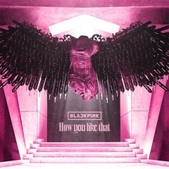 BLACKPINK – Intro + How You Like That