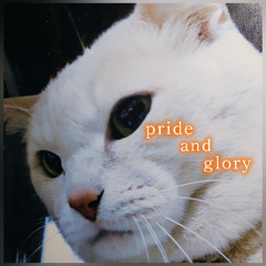 pride and glory