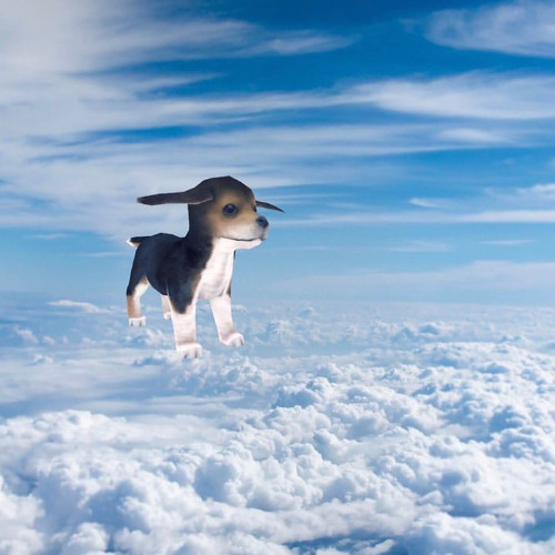 banger 1 - 3 189 pitched up