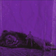 Nikito - Cabelos de Leão