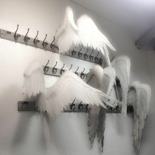 + 1 angel :) (633397 - all of what i had has been lost /// 999nils999 flip)