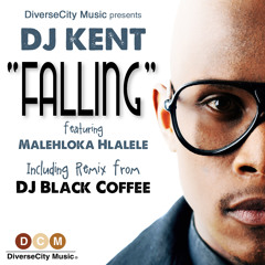 Falling (featuring Malehloka Hlalele) (DJ Black Coffee Remix)