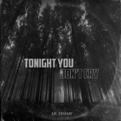 Tonight you don't cry (Prod. NaN)