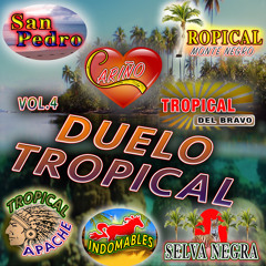 Stream Tropical del Bravo music | Listen to songs, albums, playlists for  free on SoundCloud