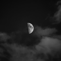 악몽의 꿈