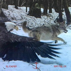 HLADOMOR & KAREL ZAHRADNÍČEK - MĚSTO/MOŘE/KUŘE/STAVENÍ