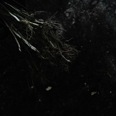 MY WEAKNESS, YOUR STRENGTH