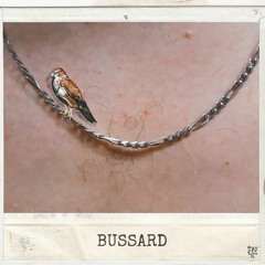 WAVYFRISCH - BUSSARD [prod. by baso]