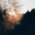 Artwork for Ruth B. - Dandelions (Alphasvara Lo - Fi Remix)