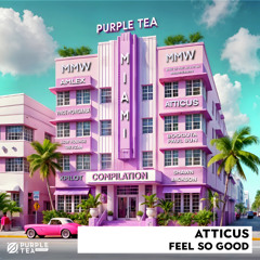 ATTICUS - Feel So Good (Purple Tea Records)