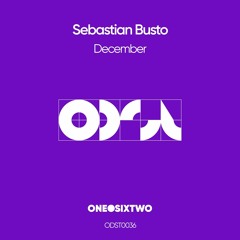Premiere: Sebastian Busto - December [onedotsixtwo]
