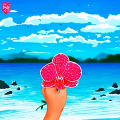 Chiccote's Beats x Mindeliq - Orchid Oceans [full beattape]