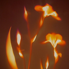 Your Shot Baddie DJ Set Mix 2025