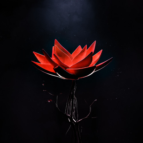 RUINED - darkness