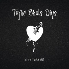 Tujhe Bhula Diya (H33T DnB Flip)