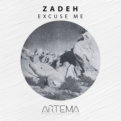 Zadeh - Excuse me