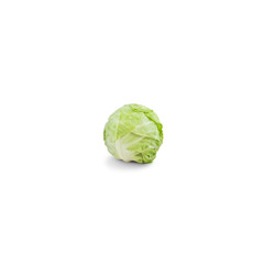 Cabbage