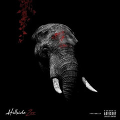 Koof Kweff (Zone 2 Hillside Zoo)