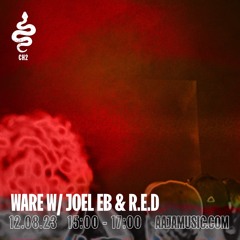 WARE w/ Joel EB & R.E.D - Aaja Channel 2 - 12 08 23