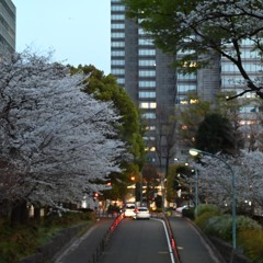 Song Cover Itoshino Baby Blues Piano at once 20250824-8