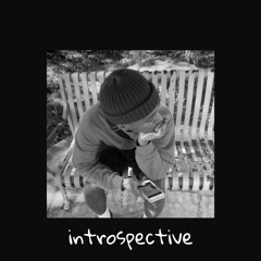 introspective