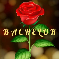 Bachelor