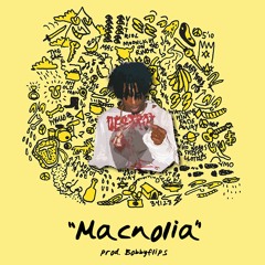 playboi carti x macdemarco - macnolia