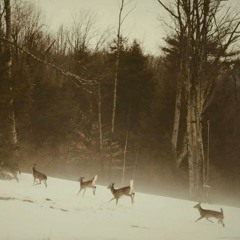 let me rot in your arms