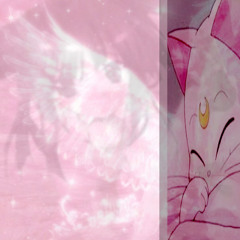 /ᐠ - ˕ -マ Ⳋ kitten [prod. lexycat]