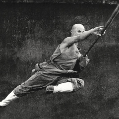 Shaolin Monk (ben10savl)