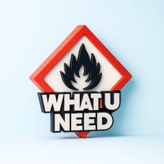 WHAT U NEED