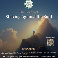 The Levels of Striving Against the Soul - Shaykh Anwar Wright