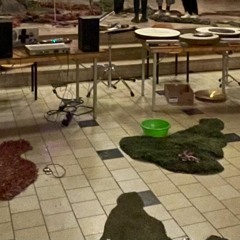 P. Oliveros - Sonic Meditations 'Teach Yourself to Fly' (+ Het Wilde Westen + Audience) @ Synthese