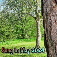 Song in May 2024