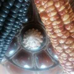 -del Makuchi y de la Milpa-(versión en vocablos Wixarika de:"La Canoa"de Kike Pinto.)