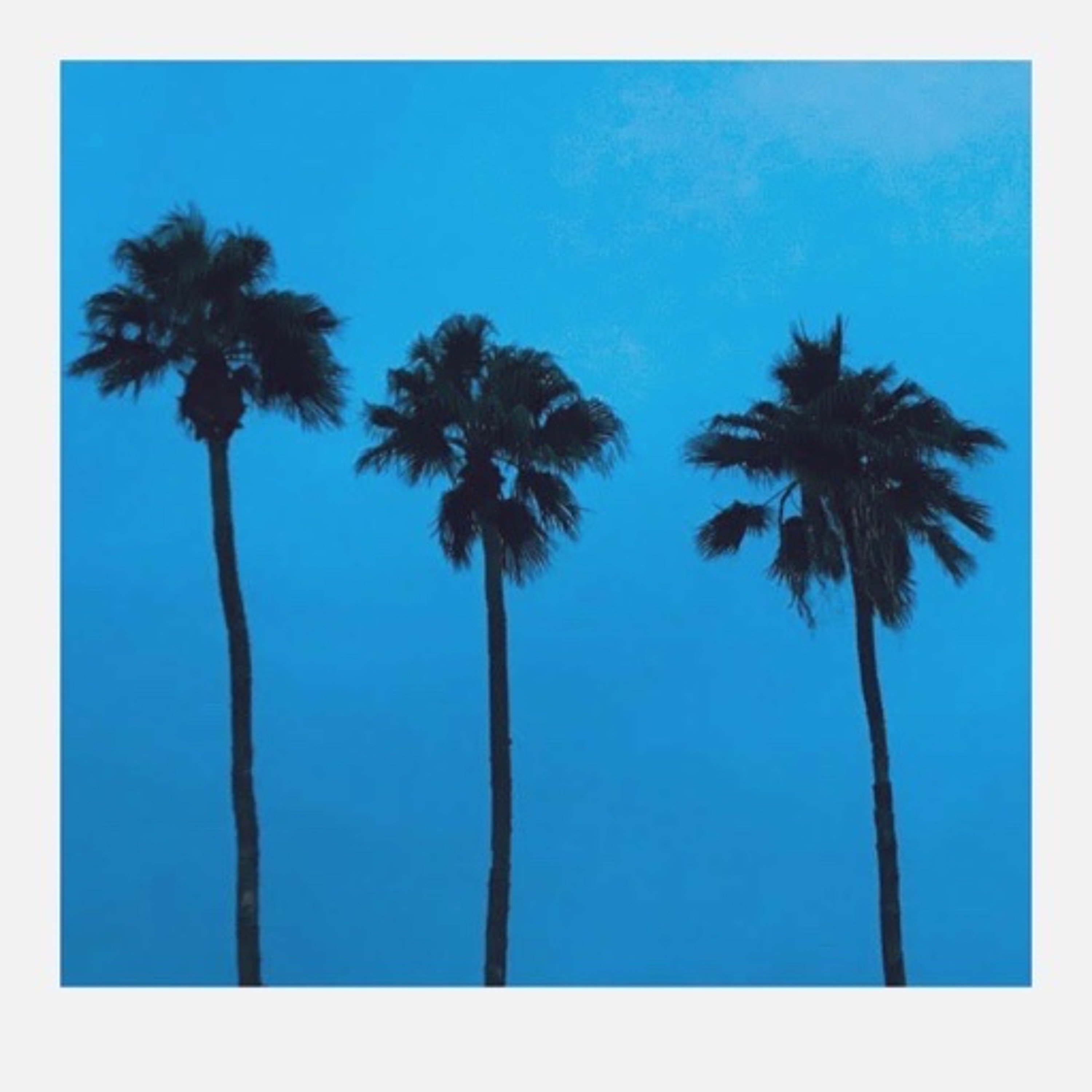 Palm Trees episode artwork