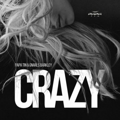 Papa Tin & Gnarls Barkley - Crazy (Unofficial Mix)