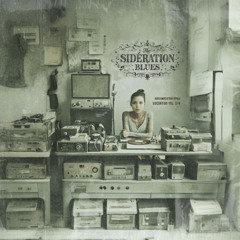 [05] Sidération - The Sky Stood Still 5 - Revolution FOLKsutra