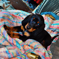 Tømbstøne ft jackdonaldson & Hästÿ dëmïsë (Prod.byCian x rjpasin).