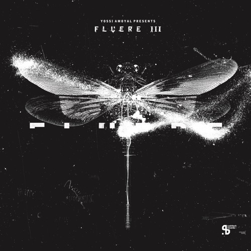E1 Steve O'Sullivan - Paracelsus