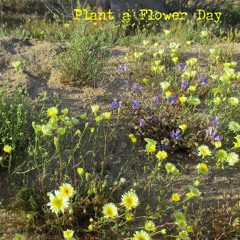 Plant a Flower Day - Pollinator Gardens