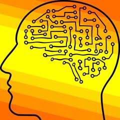 Signal Flow (with Paul Frick)