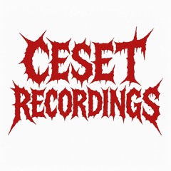 THOSE WHO CANNOT ENTER THE NEW YEAR / PERSON WORKING IN FUNERAL SERVICES [%100 INSTRUMENTAL MIX]
