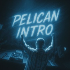Pelican Intro